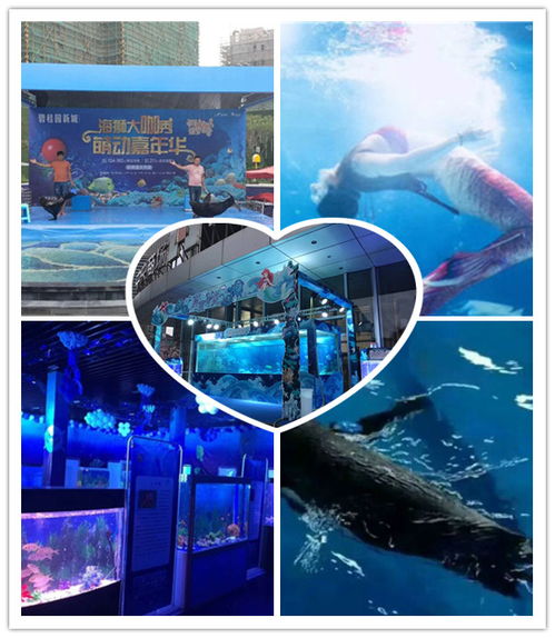 綏德縣美人魚水中舞蹈表演本地資源出租