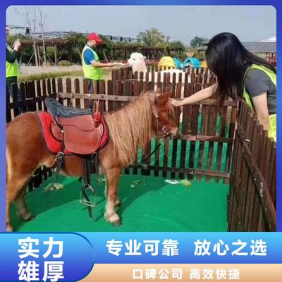 羊駝租賃馬戲團表演免費郵寄樣品