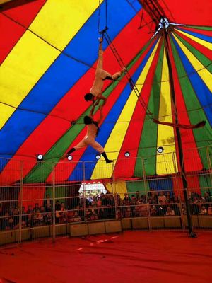 山東哪里有租賃馬戲團雜技表演的