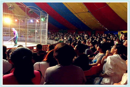 外籍馬戲團租賃出租鶴崗