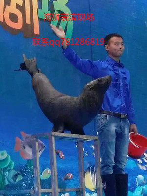 中山馬戲團租賃_供應信息_金農網(wǎng)