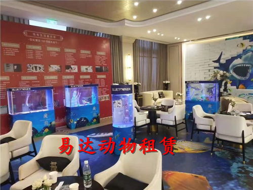 馬戲團表演出租租賃馬戲團大飛輪表演出租租賃價格優惠.云浮