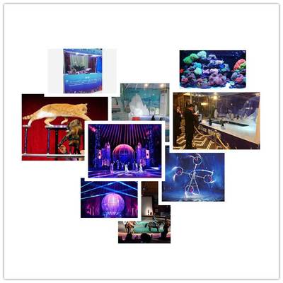 江西羊駝出租,矮馬租賃,萌寵動物出租,百鳥園展覽,雜技表演,馬戲團商演具體收費