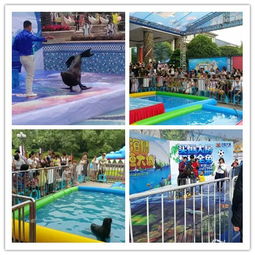 陜西商洛市小型馬戲團(tuán)演出出租價格多少