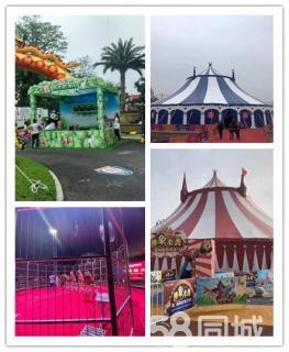 當(dāng)?shù)馗叨舜篑R戲團(tuán)表演動物租賃