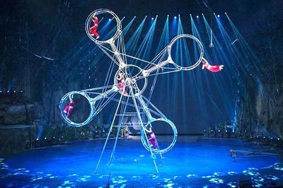 鶴崗租賃各種動物的公司