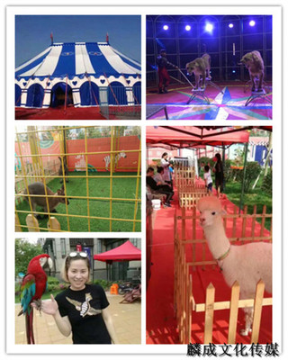 豐鎮(zhèn)馬戲團獅虎表演出租名氣大的