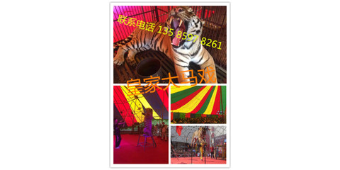 哪里有馬戲團表演出租