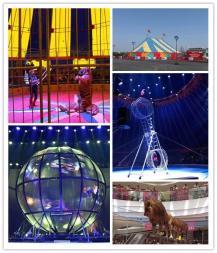 十堰萌寵動物羊駝?wù)褂[租賃海獅馬戲團(tuán)表演出租百鳥展鸚鵡表演