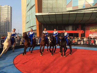 租賃動物皇家馬戲團(tuán)商業(yè)慶典互動暖場