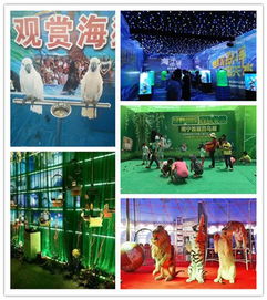 山東省淄博市淄川區(qū)百鳥展租賃多少錢一天