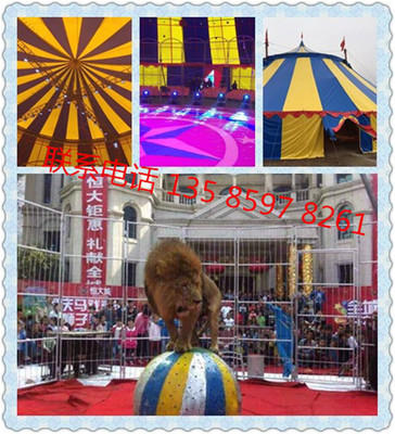 貴陽(yáng)哪里有馬戲團(tuán)表演怎么聯(lián)系馬戲團(tuán)演出什么價(jià)錢