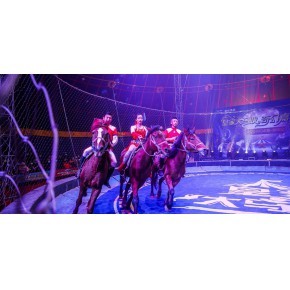 馬戲團出租 河北馬戲團雜技