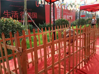 侯馬馬戲團表演海獅出租租賃