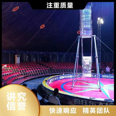 馬戲團羊駝表演與冰雕藝術 全方位出租租賃與免費咨詢指南