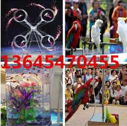 遷安市馬戲團海獅表演出租服務介紹