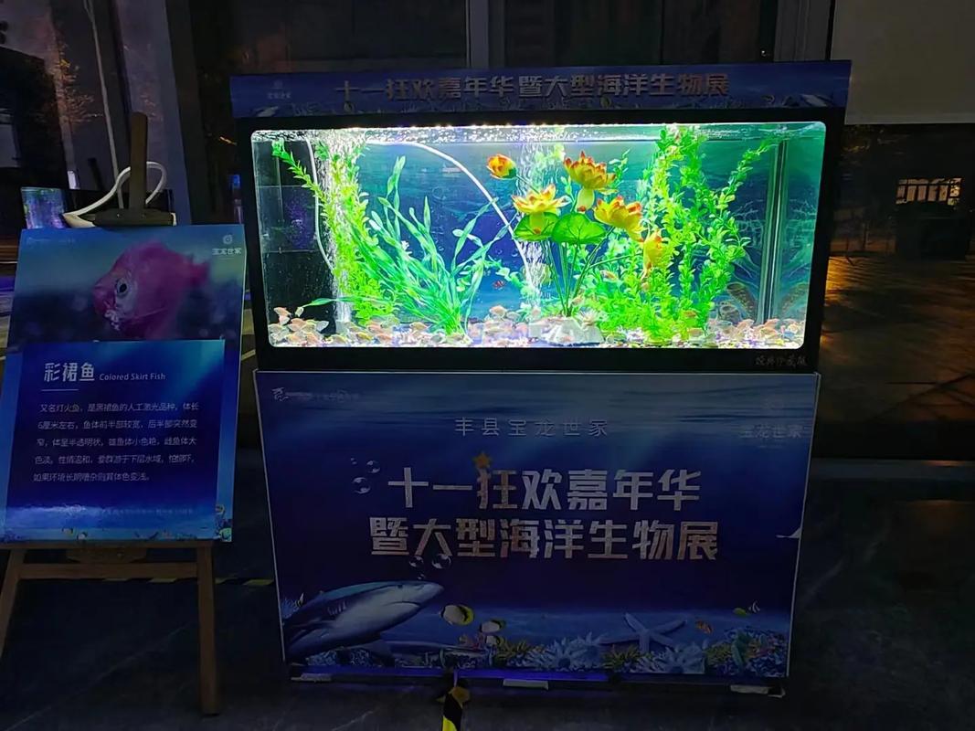 專業(yè)動物出租服務 馬戲團表演、海獅與羊駝租賃解決方案